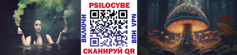 Псилоцибиновые грибы Psilocybe  Оса 