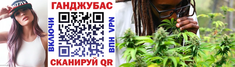 Канабис сатива  Оса 
